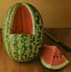 v_watermelonjubilee.jpg